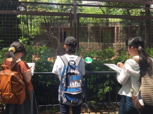 上野動物園2018_180517_0012