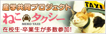 ねこタクシー