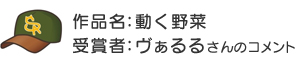 受賞者：ヴぁるるさん