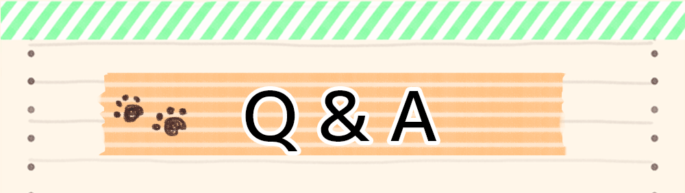 Q&A