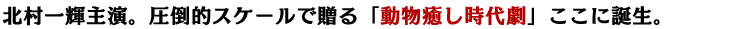 北村一輝主演。圧倒的スケールで贈る「動物癒し時代劇」ここに誕生。