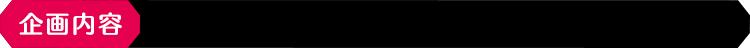 企画内容