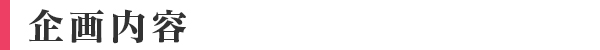 企画内容