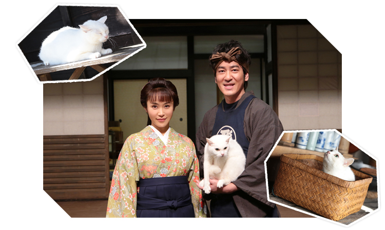 産学共同プロジェクト スペシャルドラマ『猫侍 玉之丞、江戸へ行く』に在校生が出演!
